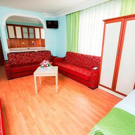Nehir Otel 3*