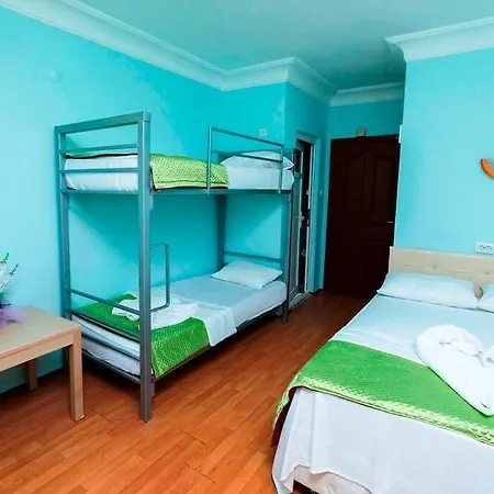 Nehir Otel 3*